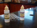 Determination of Chemical Formulas: Lab-AIDS